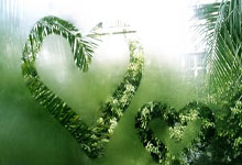 巴黎圣日耳曼擒杀对手晋级欧冠半决赛！