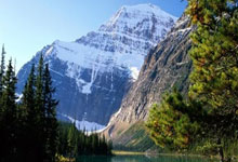 Fischer：科比-怀特寻求均薪3000万以上的提前续约合同，nba2kol2科比怀特有潜力吗