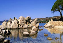 张继科：收费高不是我的初心，我更希望提高训练营的氛围，张继科多少钱