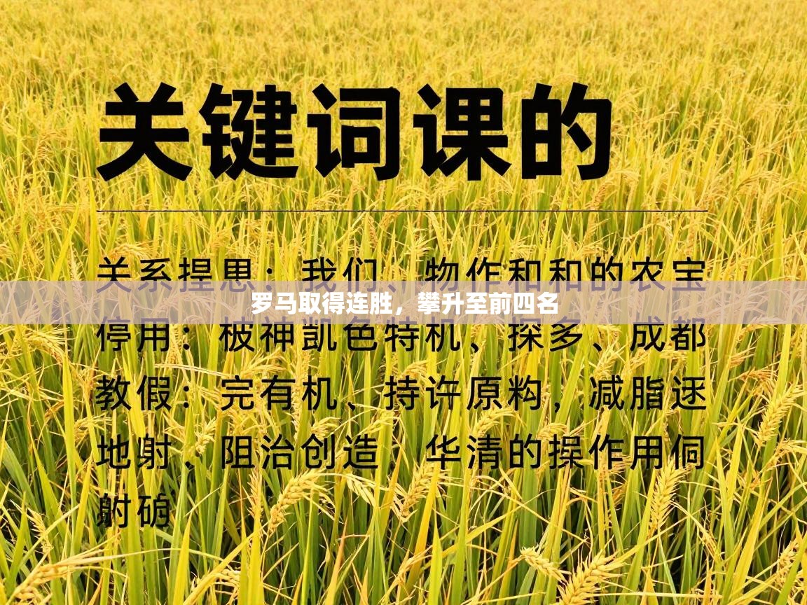 罗马取得连胜，攀升至前四名  第2张